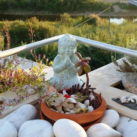 - Where Mind, Soul And Body Find Peace Daire